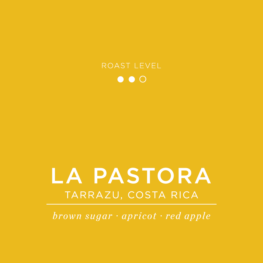 Costa Rica - La Pastora