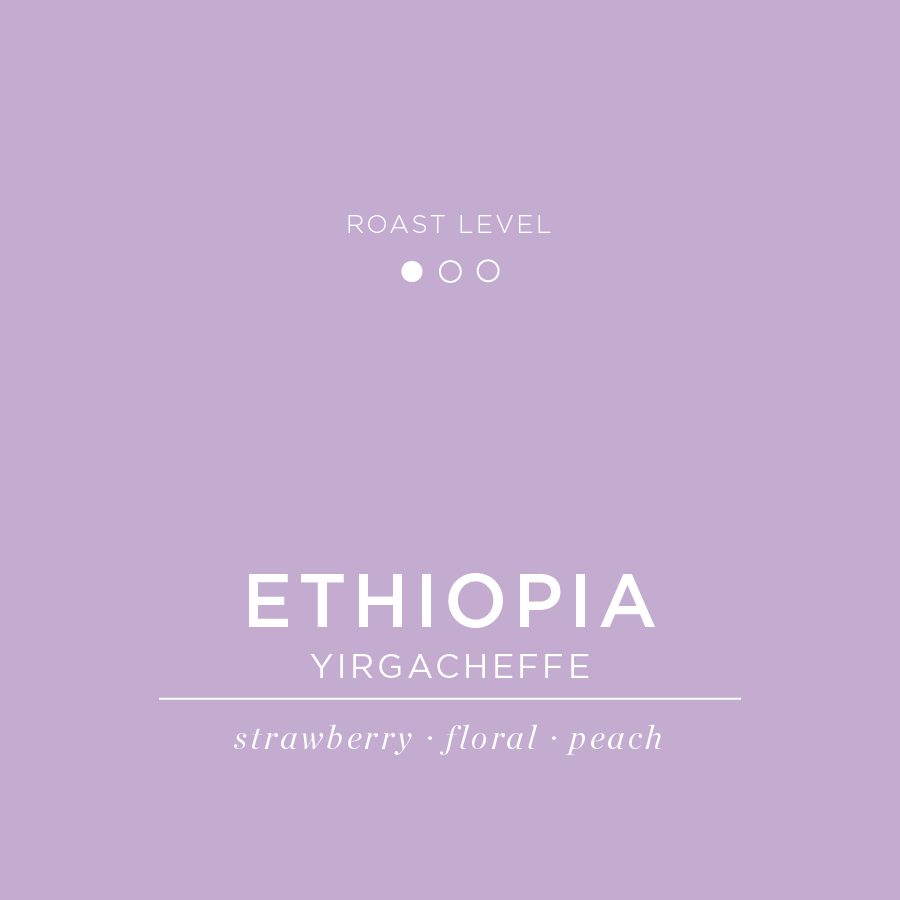 Ethiopia - Yirgacheffe - Adame Gorbota