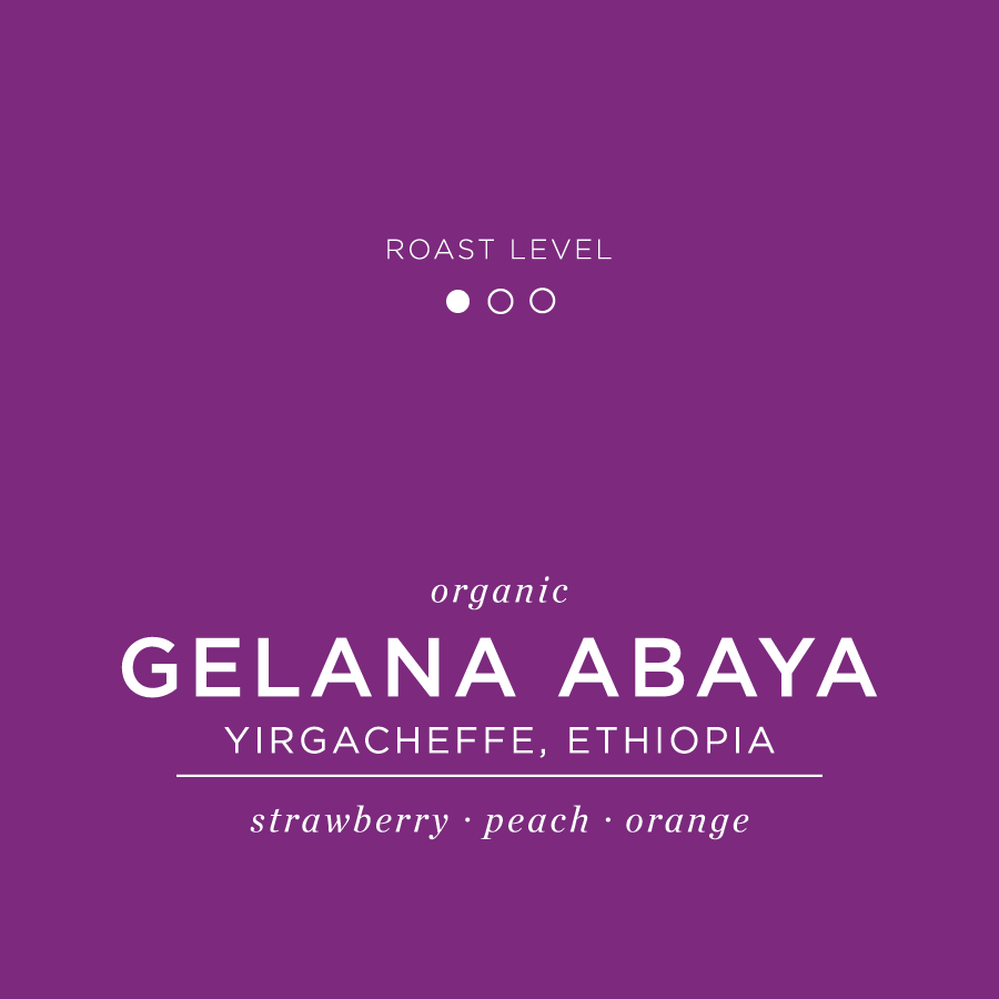 Gelana Abaya - Yirgacheffe, Ethiopia - Organic