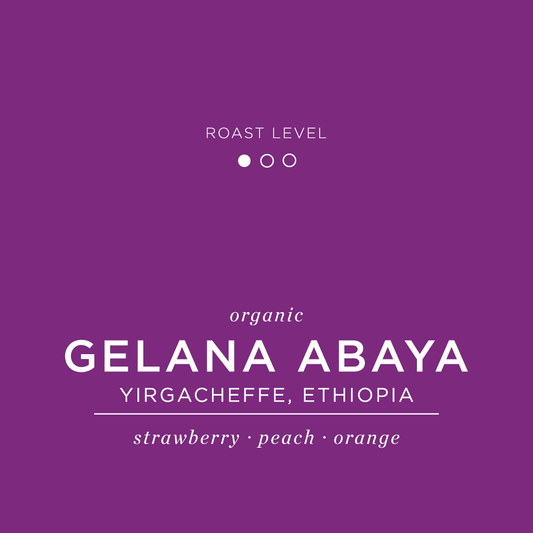 Gelana Abaya - Yirgacheffe, Ethiopia - Organic