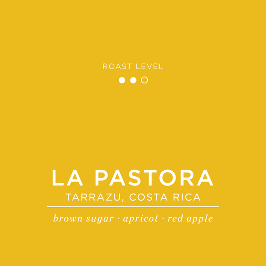 Costa Rica - La Pastora