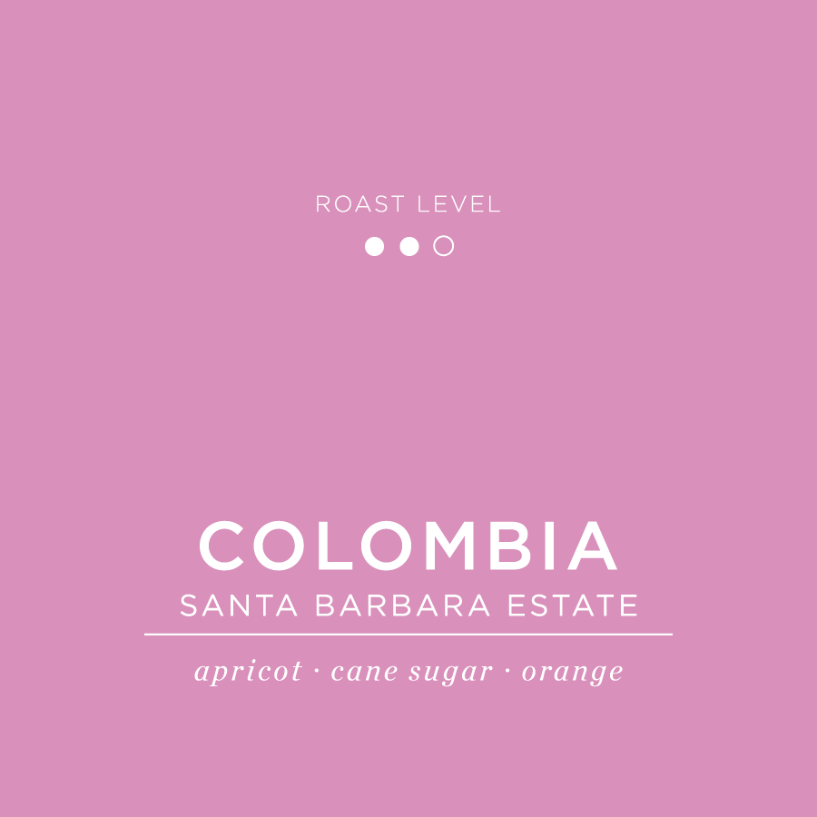 Colombia - Santa Barbara Estate
